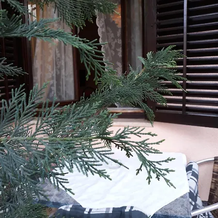 Garden * Rovinj